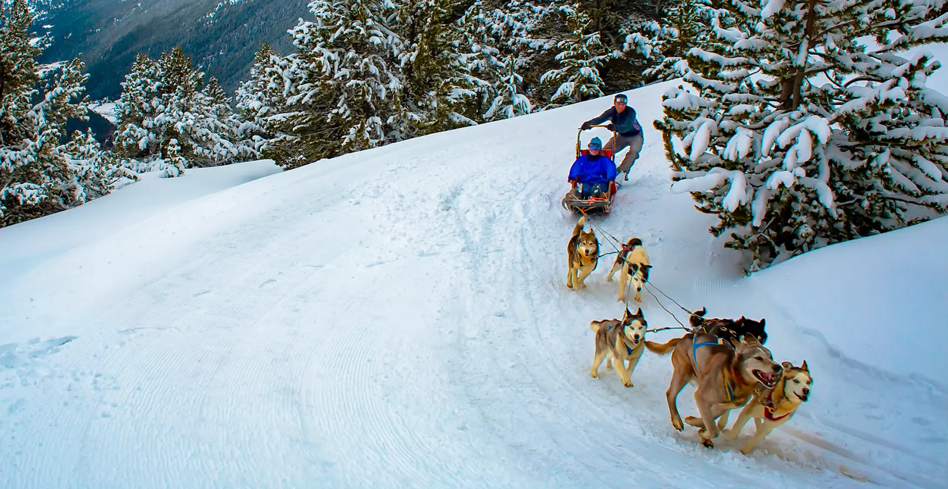 Imagen excursiones trineos perros baqueira beret